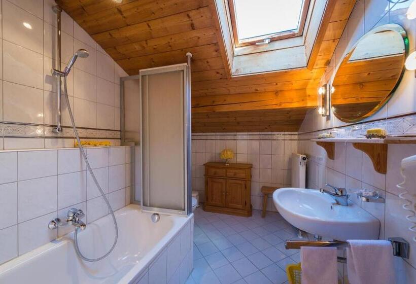 Номер Стандарт, Aparthotel Fackler
