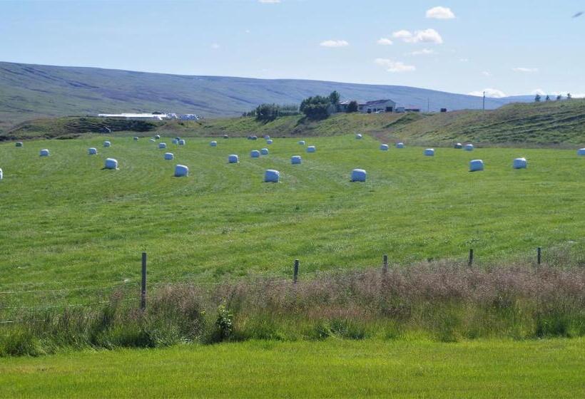 اتاق استاندارد با سرویس بهداشتی مشترک, Sireksstadir Farm Holiday