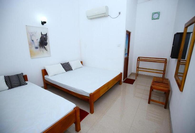 اتاق خانوادگی, Amadi Rest