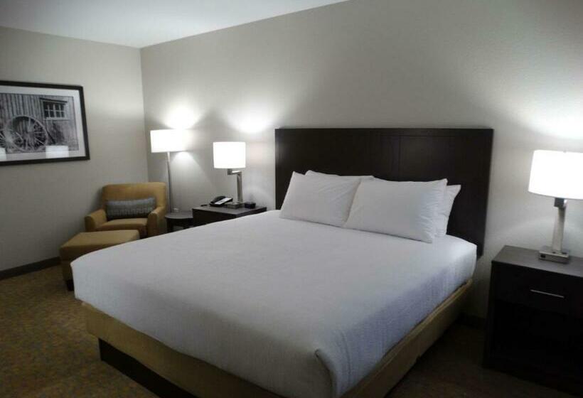 스탠다드 룸 킹사이즈 침대, Best Western Plus The Inn At Hells Canyon