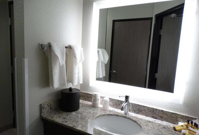 스탠다드 룸, Best Western Plus The Inn At Hells Canyon
