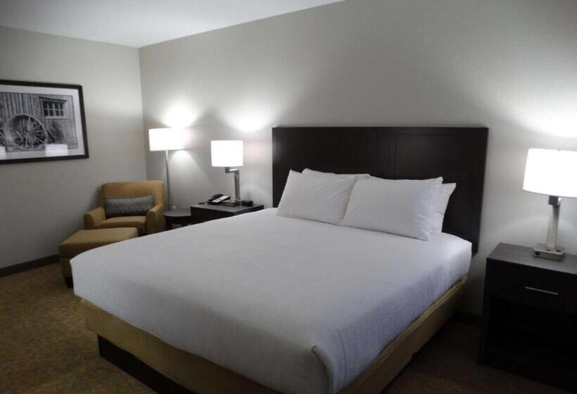 장애인을 위한 킹사이즈 침대 스탠다드 룸, Best Western Plus The Inn At Hells Canyon