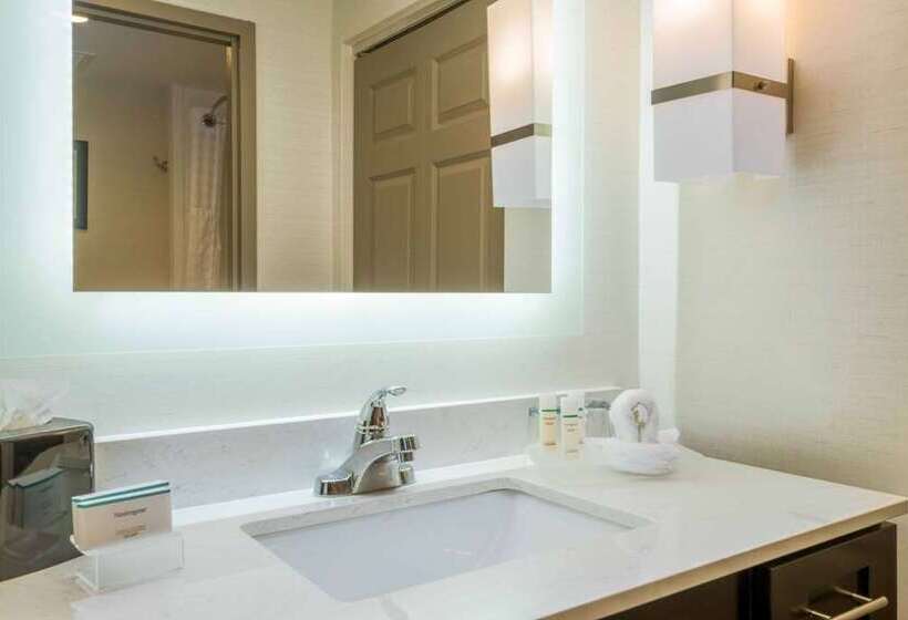 Студия Стандарт, Home2 Suites By Hilton Edinburg, Tx