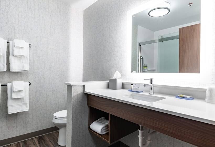 Номер Премиум, Holiday Inn Express & Suites   Moundsville, An Ihg