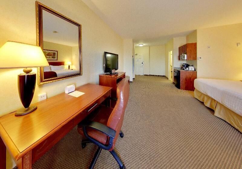 Стандартный Номер Кровать Кинг, Holiday Inn Express Hotel & Suites   Edmonton International Airport, An Ihg