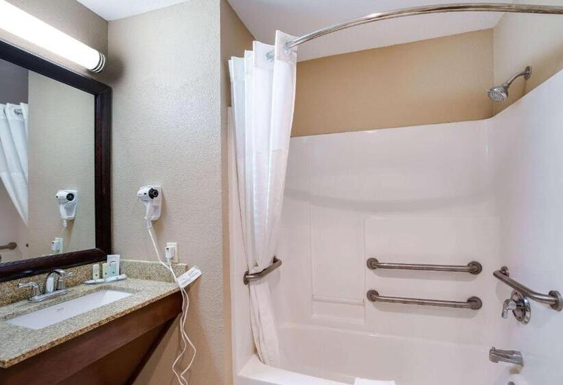 带大床的套房, Quality Inn I70 Near Kansas Speedway
