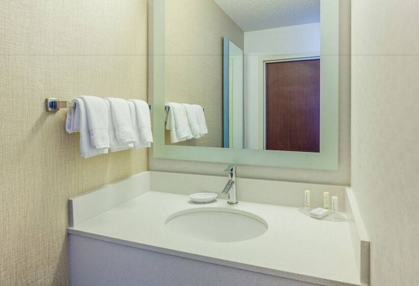 장애인을 위한 스위트, Springhill Suites Minneapolis Eden Prairie
