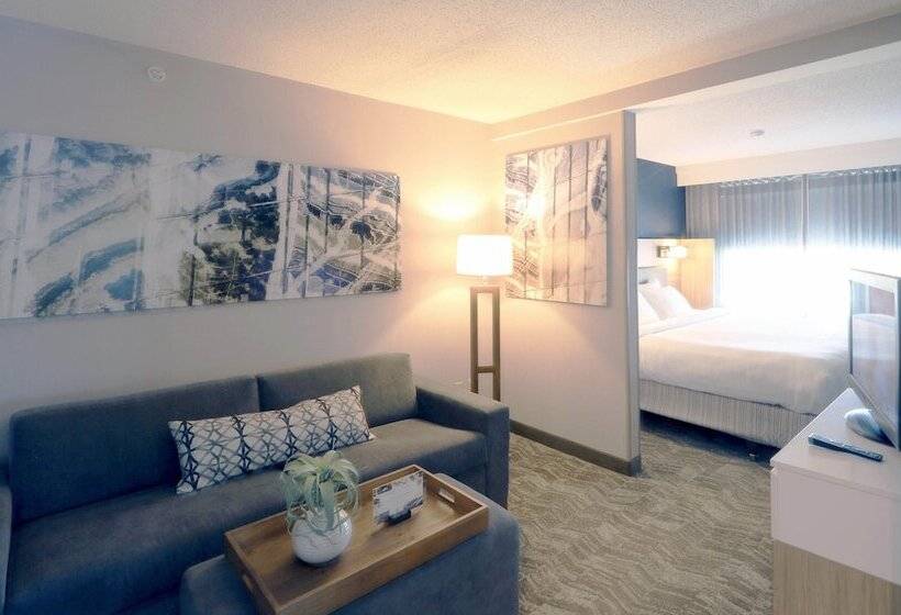 장애인을 위한 스위트, Springhill Suites Minneapolis Eden Prairie