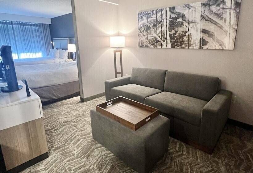 Suíte para Deficientes Físicos, Springhill Suites Minneapolis Eden Prairie