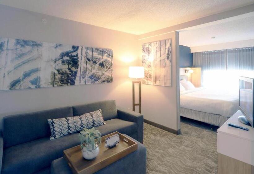 Estúdio standard Cama King, Springhill Suites Minneapolis Eden Prairie