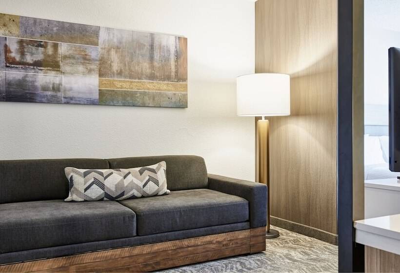 스탠다드 스튜디오, Springhill Suites Phoenix Tempe Airport