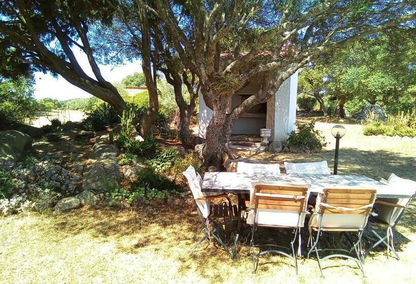 اتاق لوکس, B&b Andrieddu
