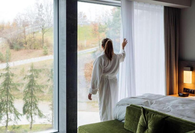 اتاق استاندارد با تخت بزرگ, Hyatt Regency Zurich Airport Circle