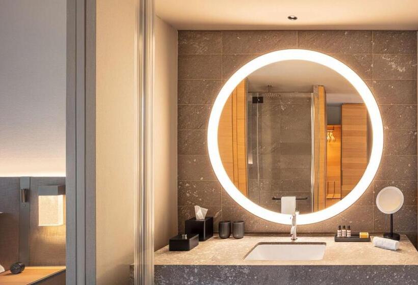 اتاق استاندارد, Hyatt Regency Zurich Airport Circle