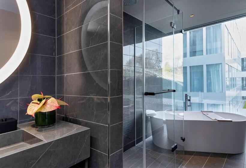 سوییت, Hyatt Regency Zurich Airport Circle