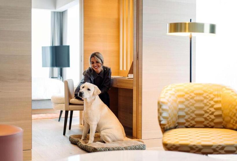 سوییت, Hyatt Regency Zurich Airport Circle