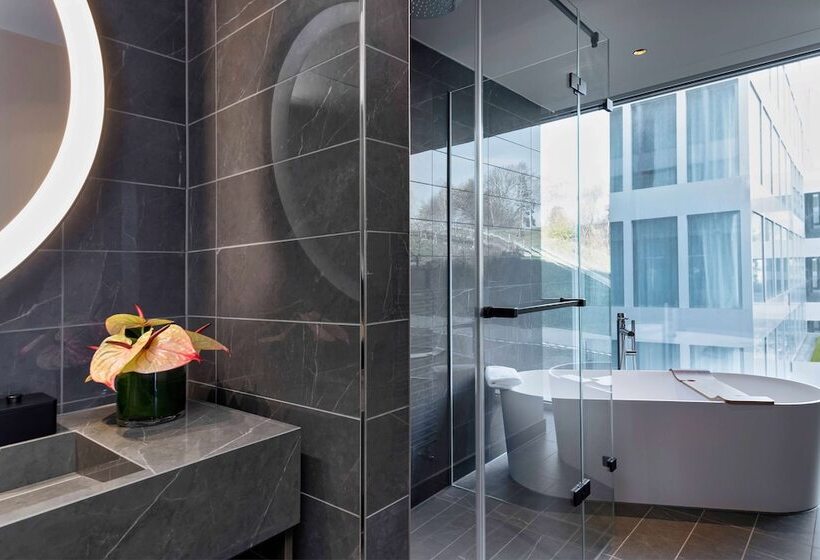 سوییت, Hyatt Regency Zurich Airport Circle