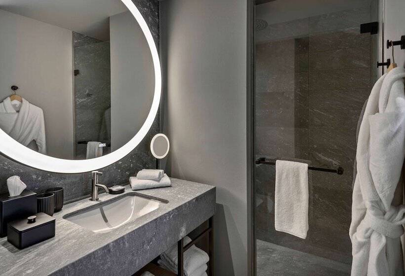 اتاق استاندارد با تخت دوبل و چشم‌انداز پارک, Hyatt Regency Zurich Airport Circle