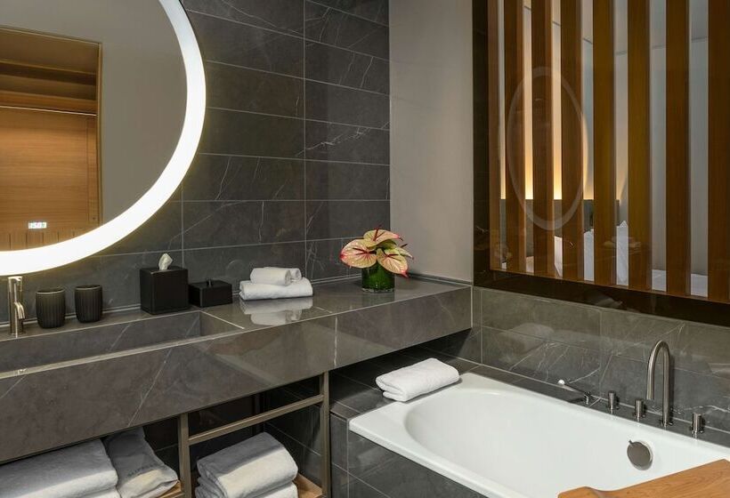 سوییت اجرایی, Hyatt Regency Zurich Airport Circle