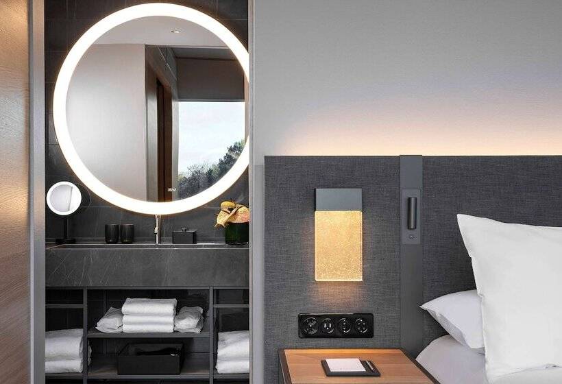 اتاق کلاب, Hyatt Regency Zurich Airport Circle