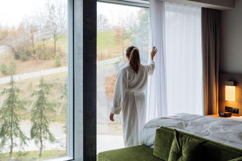 اتاق دلوکس با چشم‌انداز پارک, Hyatt Regency Zurich Airport Circle