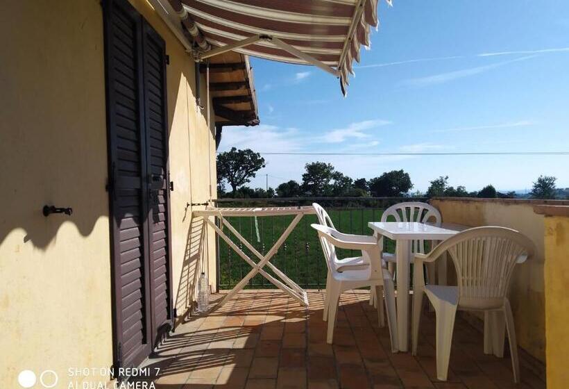Апартаменты 1 Спальня с Террасой, Agriturismo Bellebuono