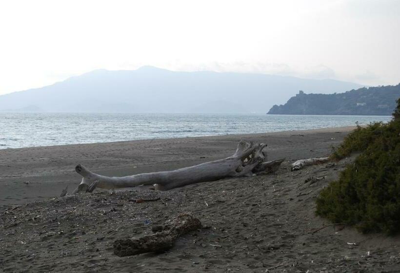 غرفة قياسية, La Mimosa