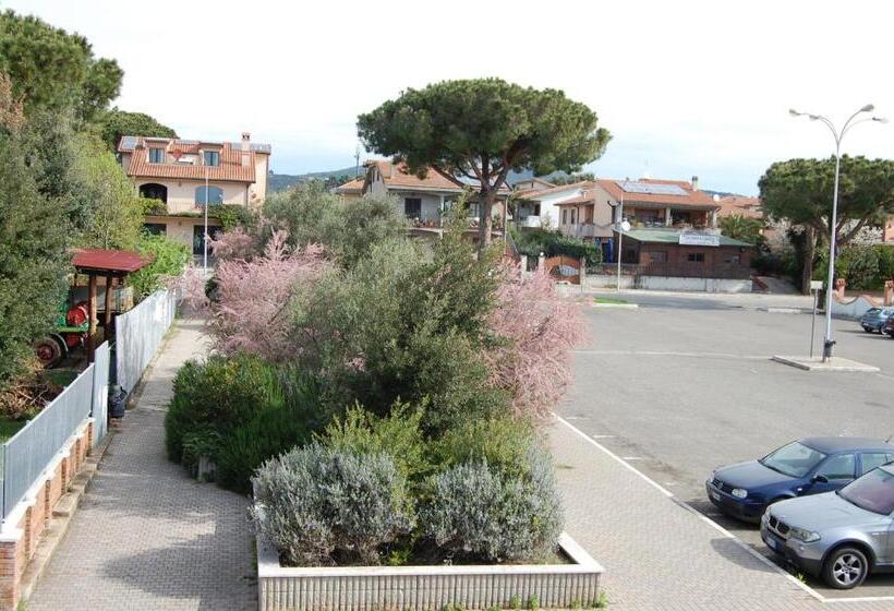 غرفة قياسية مزوَّدة بتراس, La Mimosa