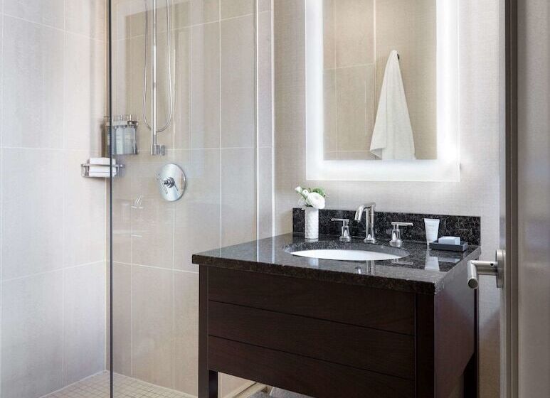 テラス付き１ベッドルームアパートメント, The Shelburne Sonesta New York