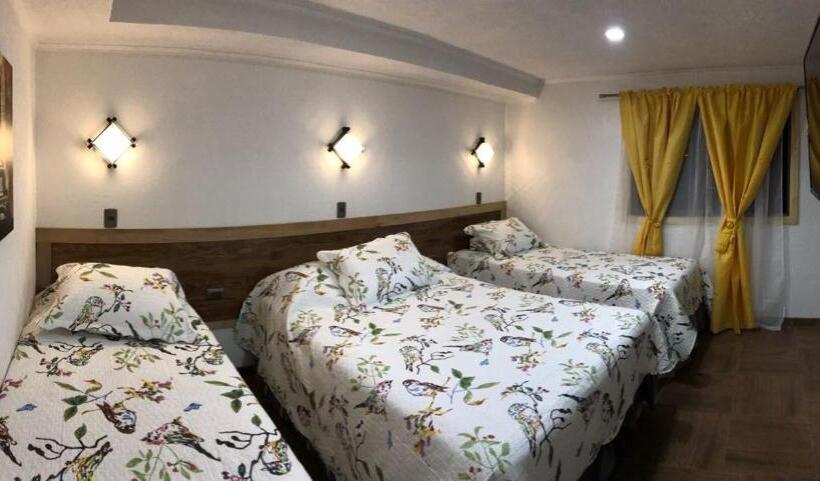 Люкс Повышенной Комфортности, Residencial Victoria Said
