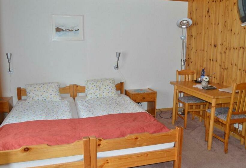 Номер Economy, Grimsel