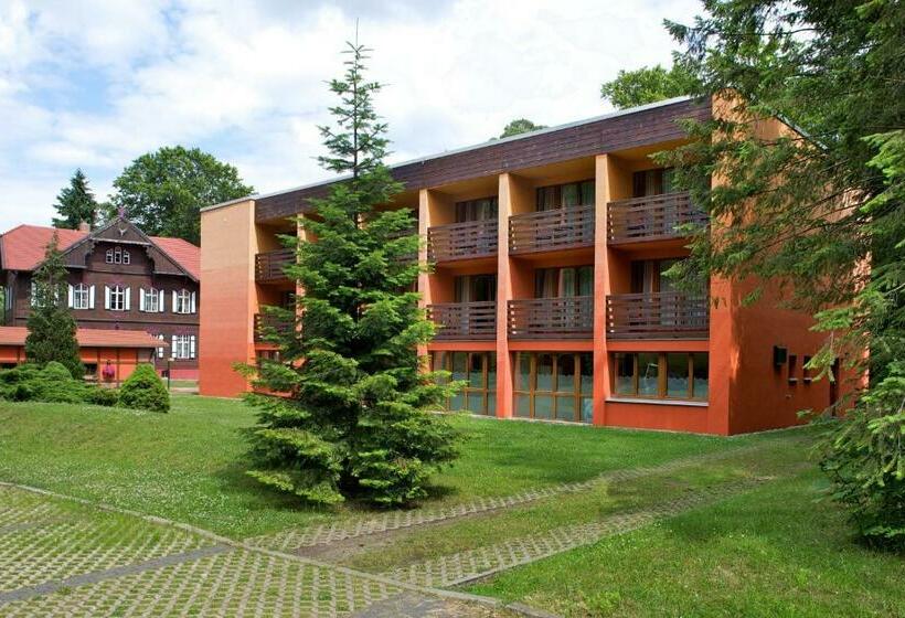 Номер Стандарт Вид на Парк, Jagdschloss Waldsee