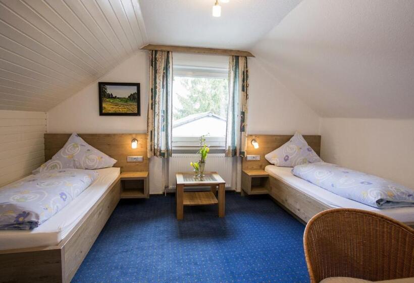 Четырехместный Номер Стандарт, Pension Waldblick Garni