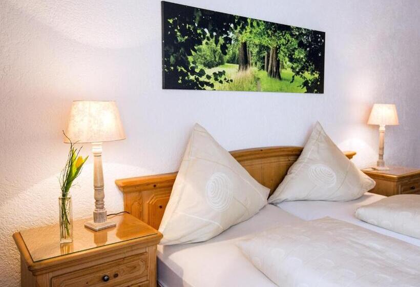 Номер Стандарт, Pension Waldblick Garni