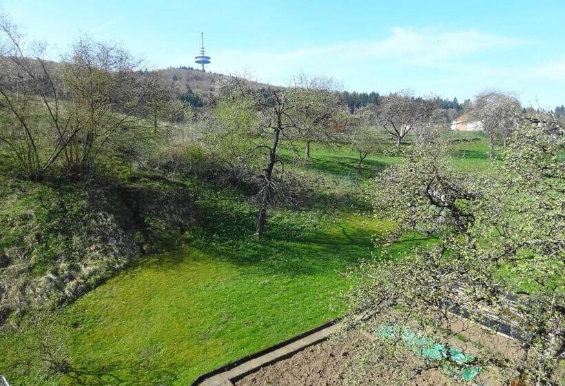 Номер Стандарт, Gasthof Zum Hohen Lohr
