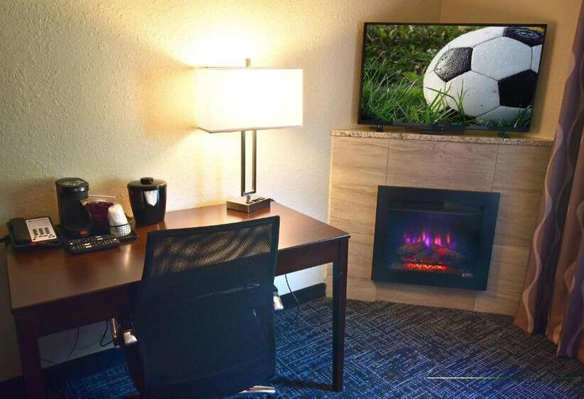 套房, Best Western Plus Flint Airport Inn & Suites