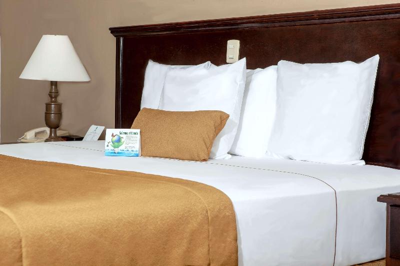 キングサイズベッドのスタンダードルーム, Best Western Hotel Posada Del Rio Express