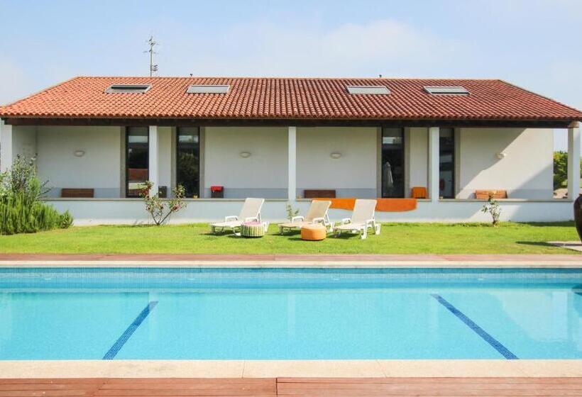 استودیو استاندارد با تخت کینگ, Quinta Da Aldeia De Avanca