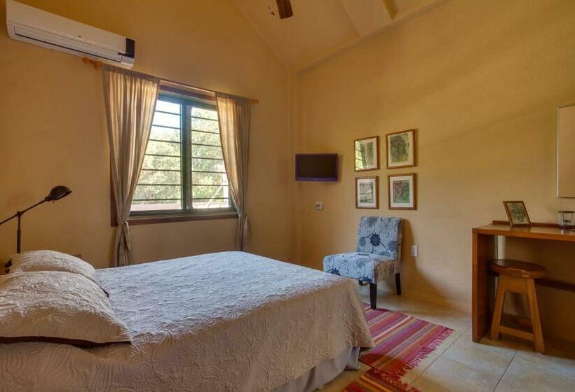 Люкс Superior, Bayshore Bijou Suites