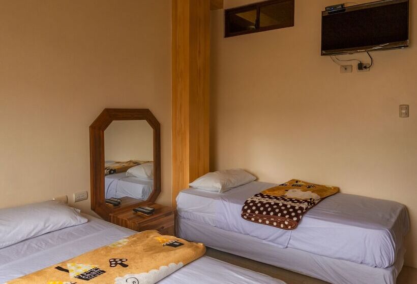 스탠다드 룸, Hostal Poseidon