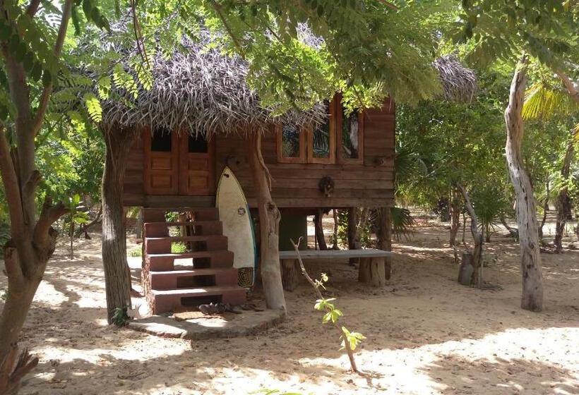 Номер Стандарт, Light House Beach Hut