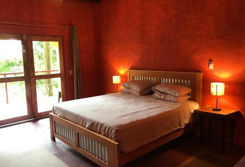 스탠다드 룸 킹사이즈 침대, Morrillo Beach Eco Resort