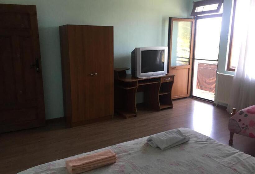 베이직 3인 룸, Guest House Agush
