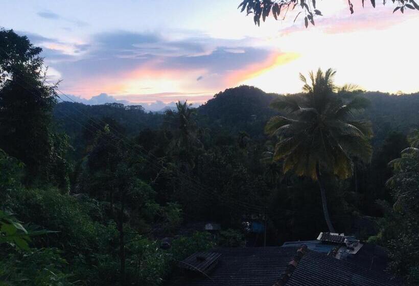 Номер Deluxe, New Toropi Homestay