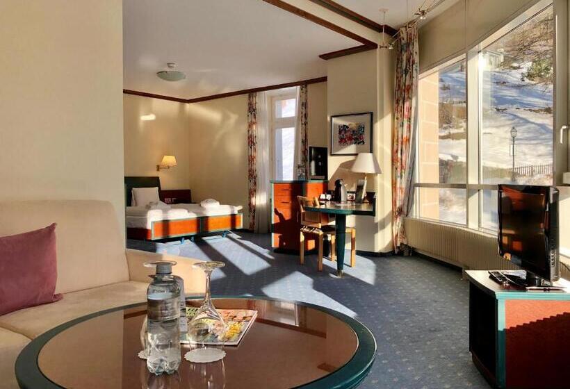 Полулюкс Панорамный Вид, Thermal Hotels & Walliser Alpentherme Leukerbad