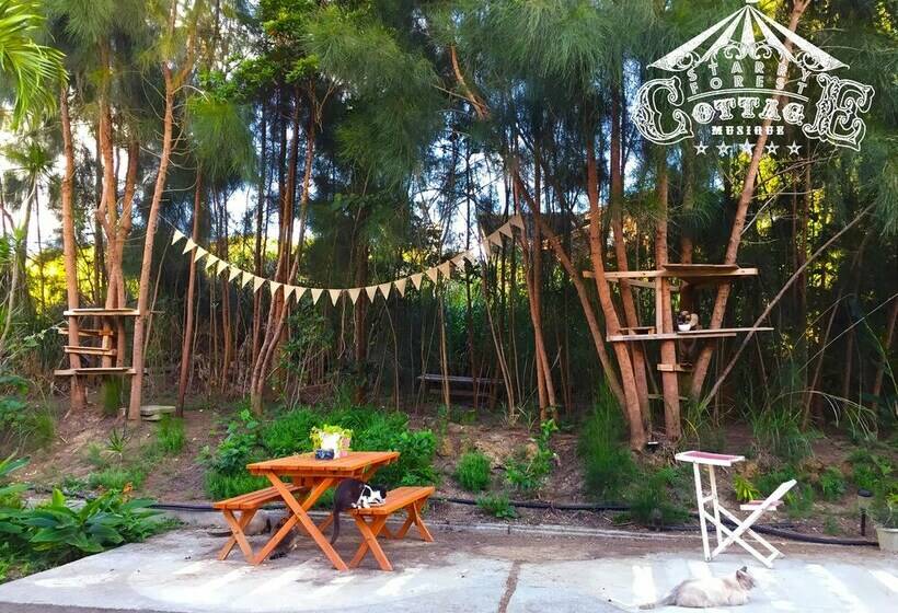 خانه 2 خوابه, Okinawa Starry Forest Cottage