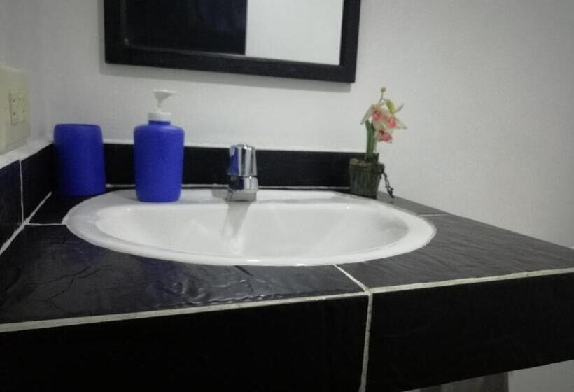 Apartamento 1 Dormitório, Aparta Estudio 7051
