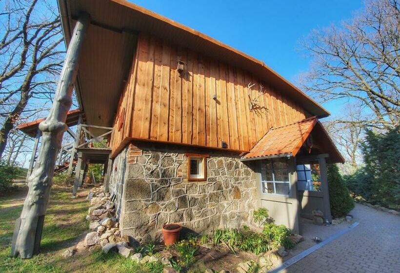 Номер Стандарт, Naturtraum Georgshöhe