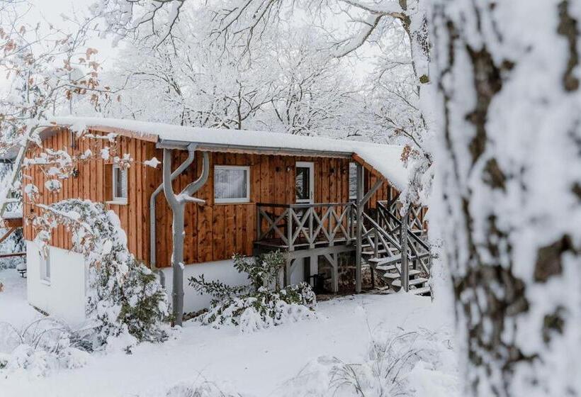 Номер Стандарт, Naturtraum Georgshöhe