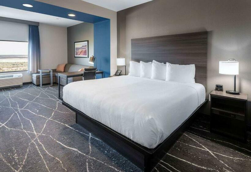 Номер Deluxe Кровать Кинг, La Quinta Inn & Suites By Wyndham Holbrook Petrified Forest